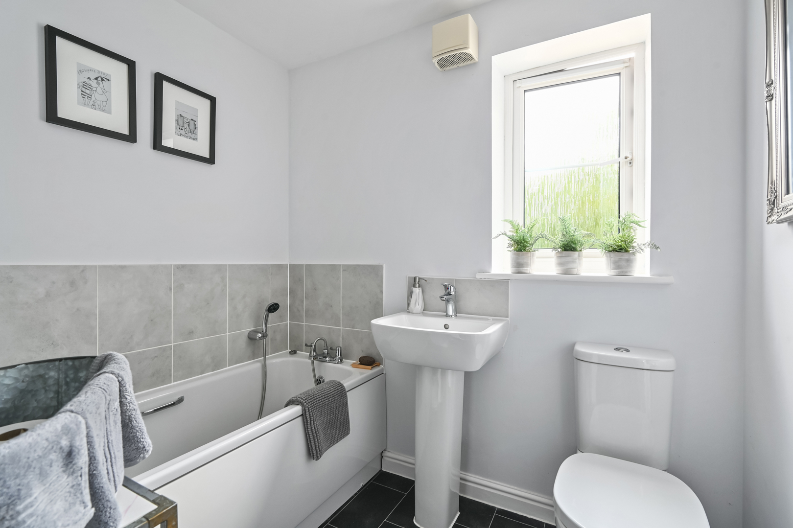 Viburnum Way, Hailsham, BN27
