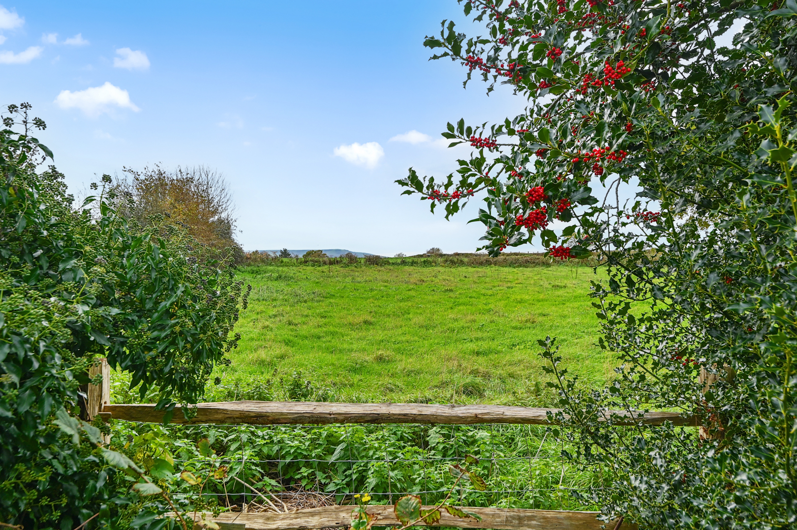Downash, Hailsham, BN27