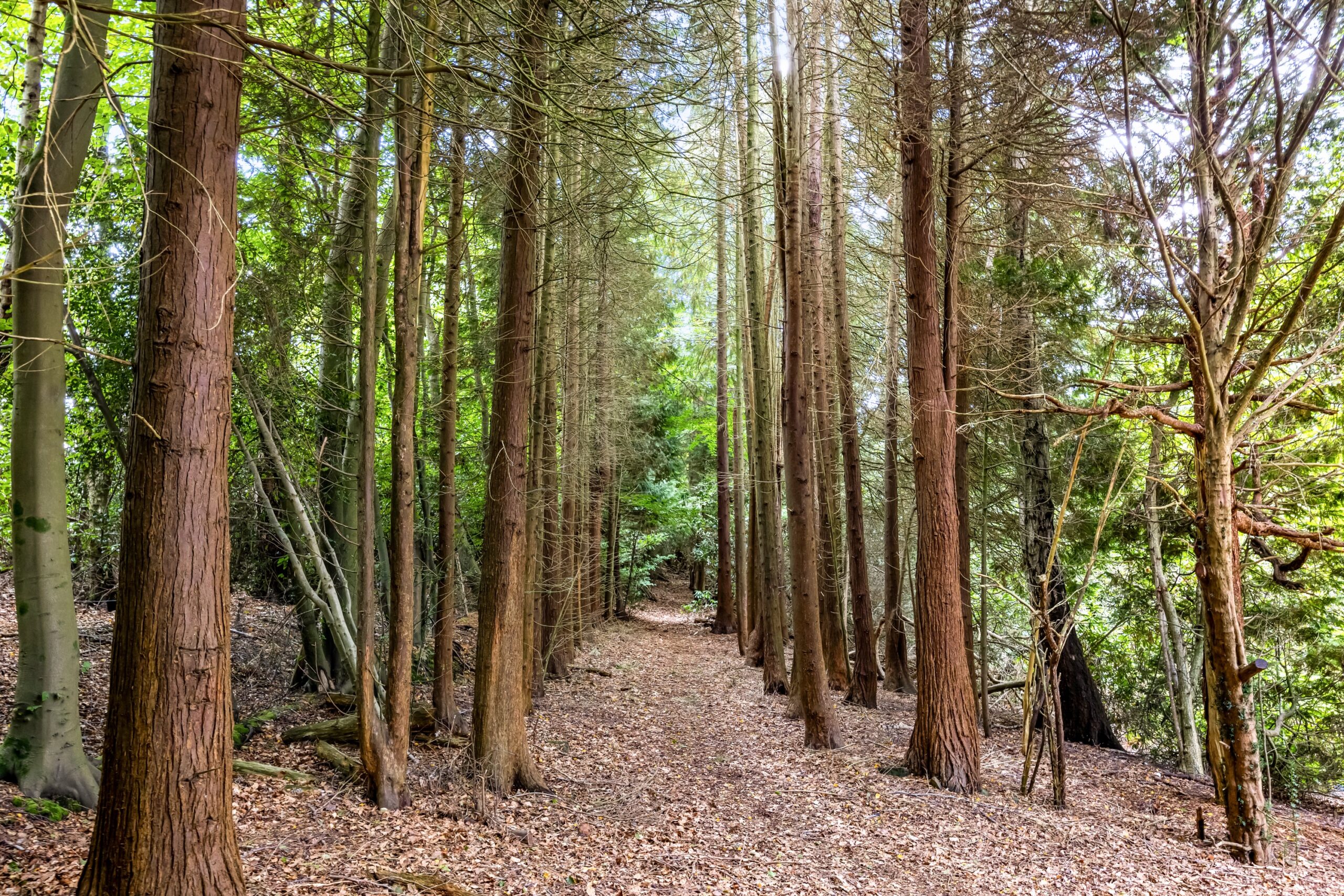 Uckfield Road, Crowborough, TN6